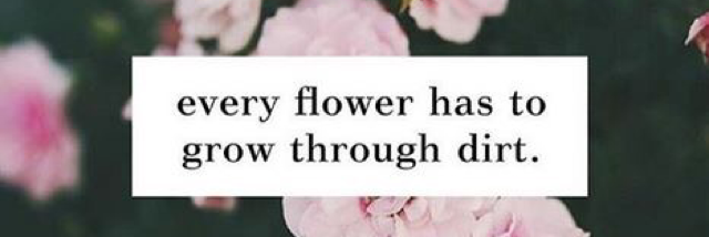 Cover image for post I'm Ready, by Rev_Frenchie