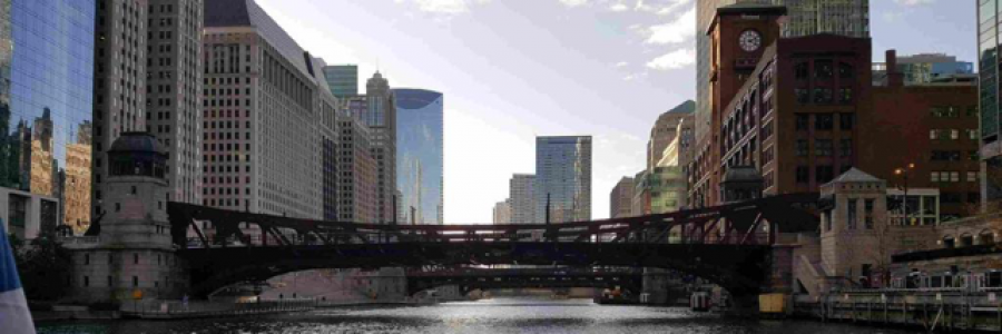 Cover image for post The Circle of Life, by Grier_Ragot