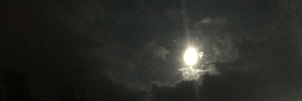 Cover image for post I hope..., by Write2Sanity