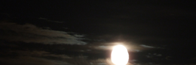 Cover image for post Under Moon, Under Stars, by Woodenvaults