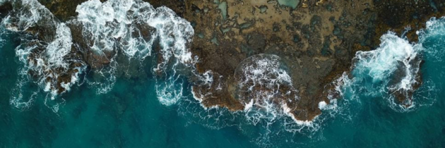 Cover image for post Cyanide & Judas, by NE_Philomele