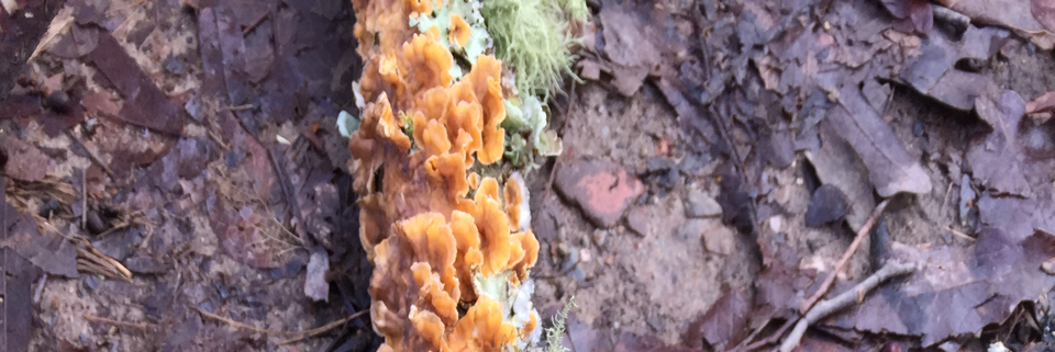 Cover image for post Life ain't fair so get over it, by Write2Sanity