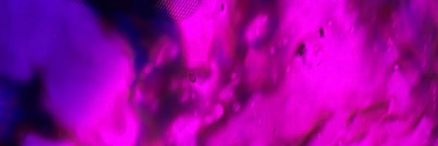 Cover image for post Growth, by GaybeTheEnnboy