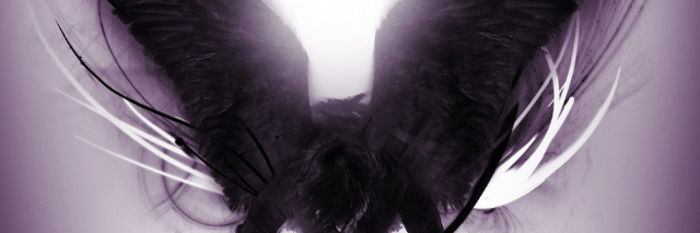 Cover image for post Every Step, by keithstewart948