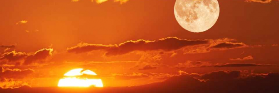 Cover image for post soul eclipse, by MClarice