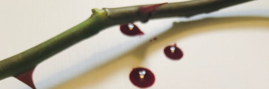 Cover image for post Therapy., by nijahwrites