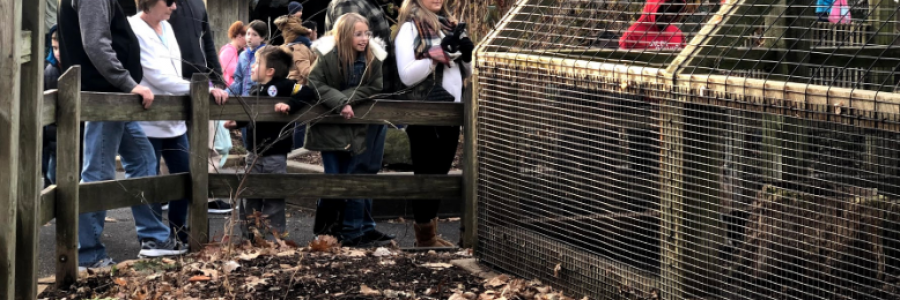 Cover image for post A prompt from class, by whitewavetrout