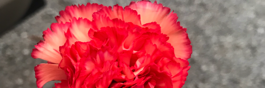 Cover image for post you, by sinningaround