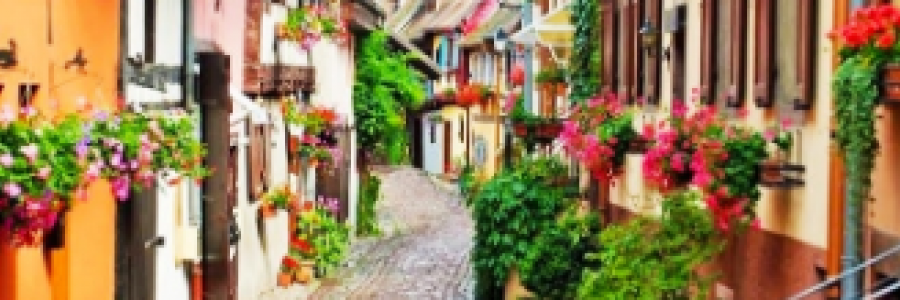 Cover image for post WORD PAINT, by FiaA