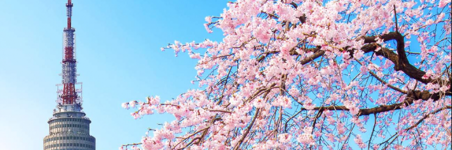 Cover image for post blossoming, by lostAlice