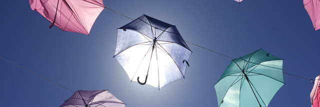 Cover image for post Wild Swans, by ABoswell