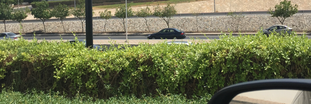 Cover image for post Landscape of thoughts, by Solowind