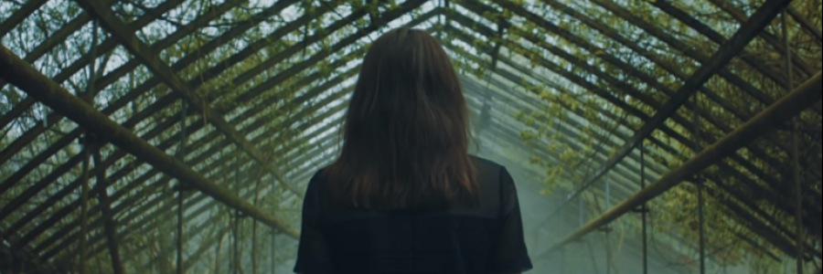 Cover image for post You used to ask me why, by anarosewood