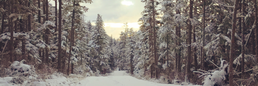 Cover image for post Pioneer Road, by northernlight