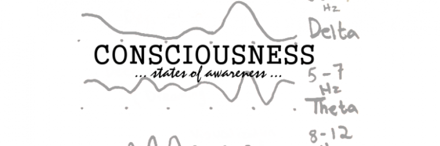 Cover image for post Stupid is as Intelligence, by another_proser