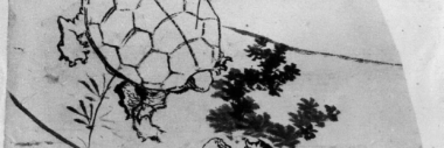 Cover image for post Haiku I, by 2Scared2Write