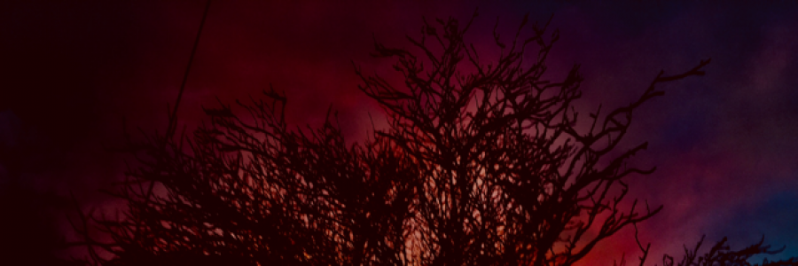 Cover image for post I can’t let go, by Leahrose