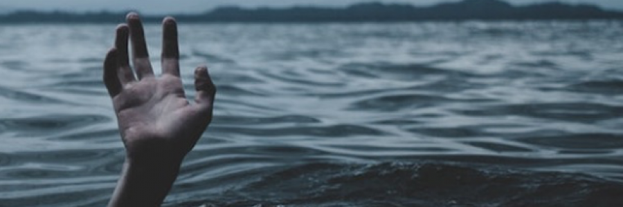 Cover image for post Friends, by Leahrose