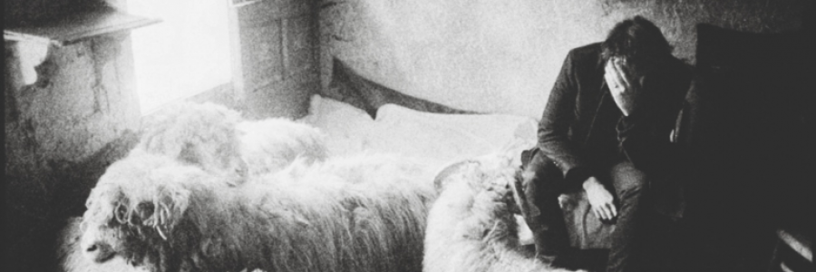 Cover image for post The Theory of Him, by CarpeNoctem