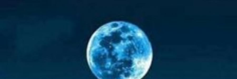 Cover image for post Luna Delight, by Becs76