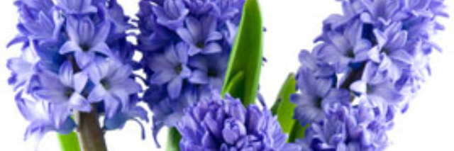 Cover image for post Does This Count As Nonfiction, by julialin55