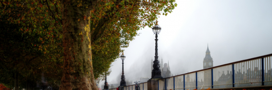 Cover image for post If only..., by Raiva