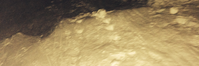 Cover image for post The Reason, by SAMS