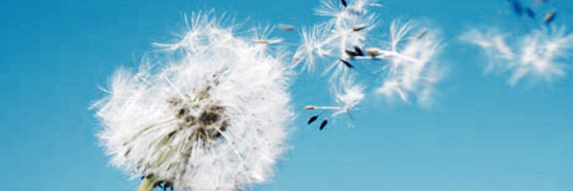 Cover image for post The Journey Aside, by PoeticVoiceamw