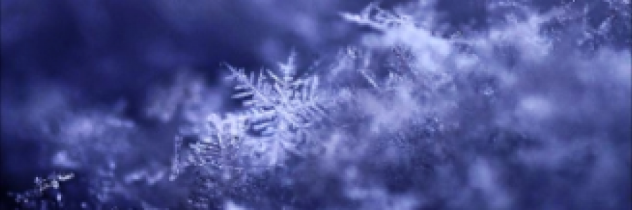 Cover image for post Shades of shiver, by FiaA