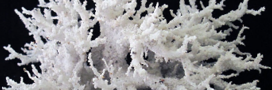 Cover image for post Tears of Glass (Petrified Lightning), by Mazzmyrrheyes