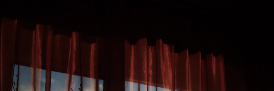 Cover image for post Reality, by Raiva