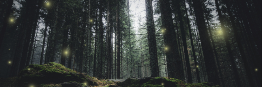 Cover image for post the story of moving orbs, by anarosewood