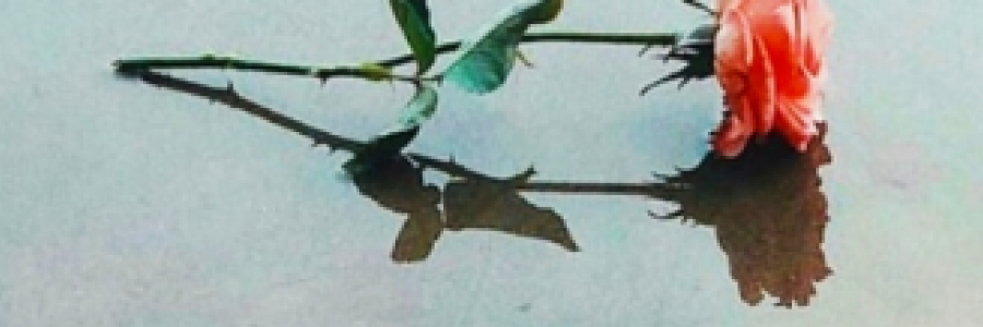 Cover image for post PERFUME, by FiaA