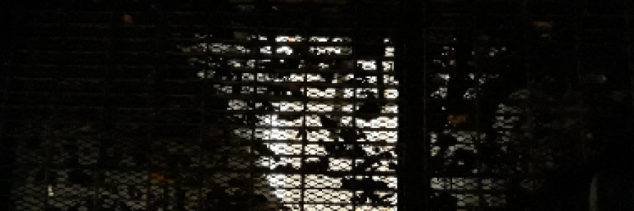 Cover image for post What Children Get Into, 
When Left Alone, by Rlj