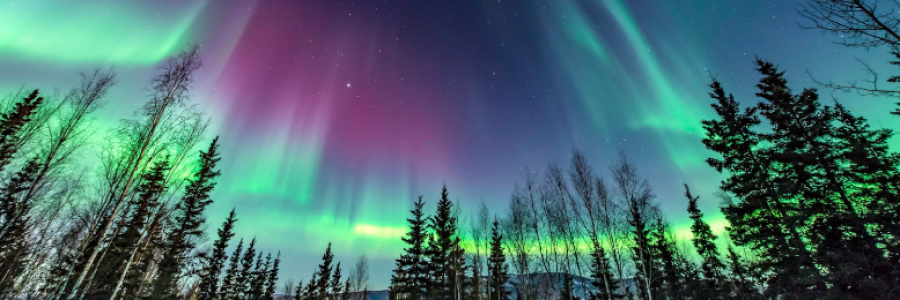 Cover image for post Aurora, by FiaA