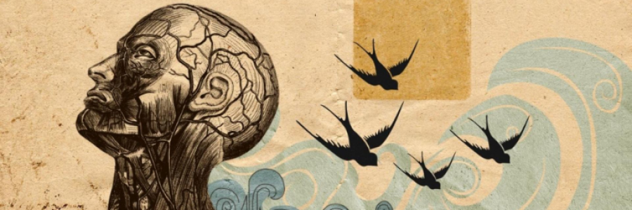 Cover image for post It's not a poem that teaches us how to live!!!!, by Sherzod