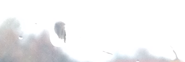 Cover image for post Fairness., by Saiology