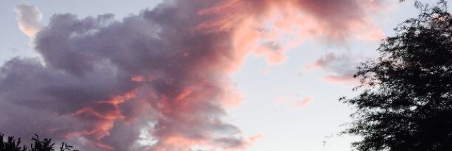 Cover image for post Peace, by Karlacaldera