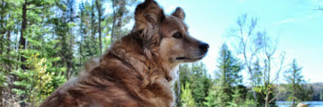 Cover image for post Angel, by keithstewart948