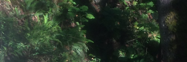 Cover image for post Anti-matter, by lillith665