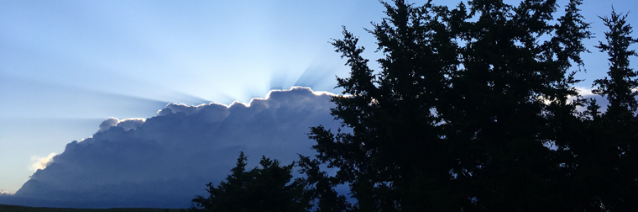 Cover image for post End Times (or) The Story of Every Day, by RLW