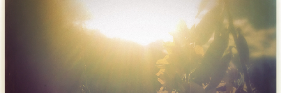 Cover image for post aren't we all, by Tuskntale