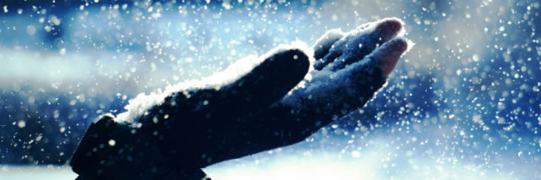 Cover image for post The Cold, by The_N