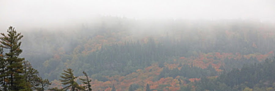 Cover image for post Algonquin Park in the Dead of April, by Jules123