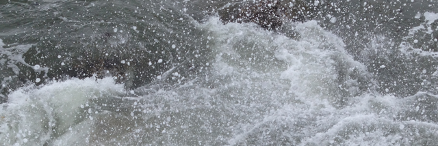 Cover image for post wading&waiting., by braydenbosch