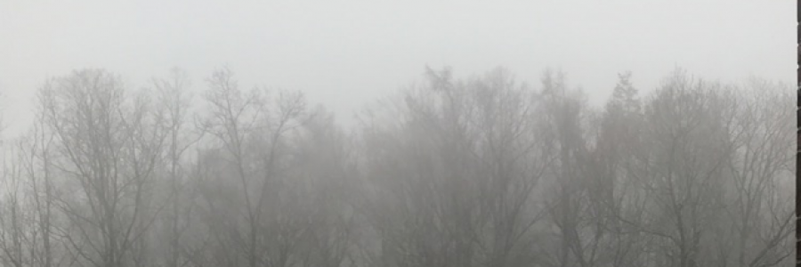 Cover image for post Untitled, by Rev_Frenchie