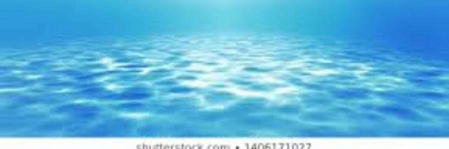 Cover image for post Joy of the Sea, by sandflea68