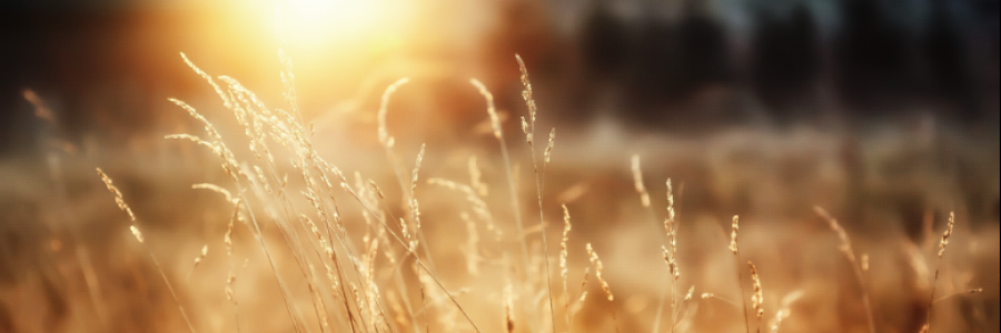 Cover image for post moments (counted in infinity) make our growth, by anarosewood