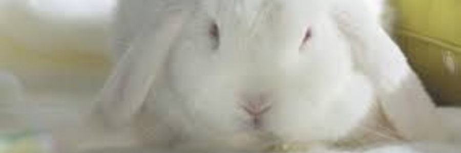 Cover image for post Scars, by sandflea68