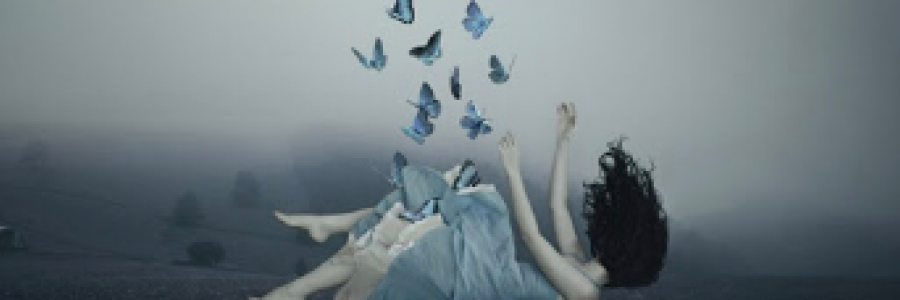 Cover image for post A Broken Butterfly, by TeaRise